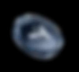 coin_blur